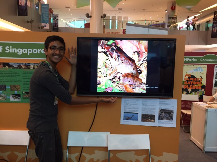 As5Dn0RiJkHl55JsMx32L-qavxtaoSDqNGQ81fJbDPjy