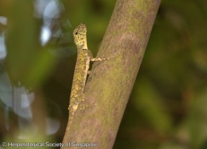 ^148DB943E2C04E8B5FA4858ABDF108A2ABE8C28518146D58A4^pimgpsh_fullsize_distr