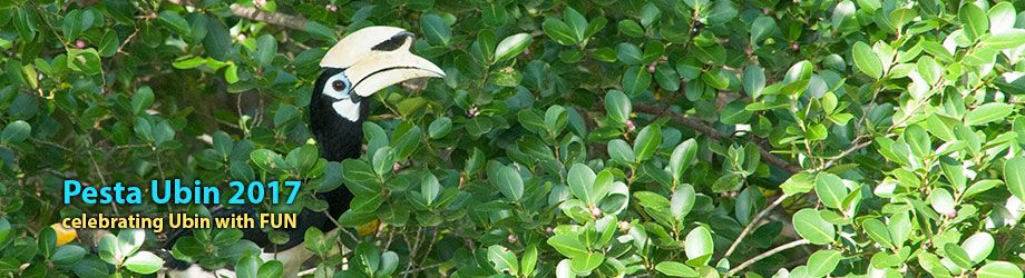 Pesta Ubin 2017