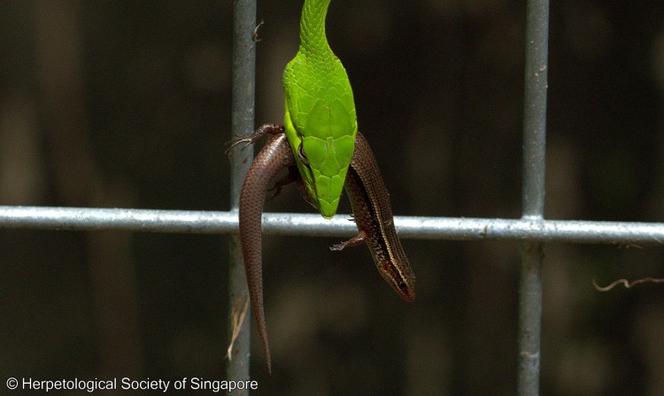 ^162D31C1AB68BFC2870843C2A4625DEFEF9E62AC16044C0046^pimgpsh_fullsize_distr