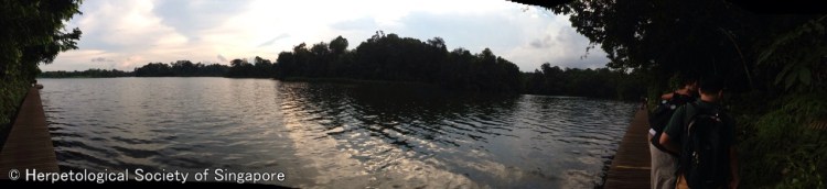 AvD4dJCcbnHCTXRZwCiL0fMiboZklSN3YYff5yPn_fd9