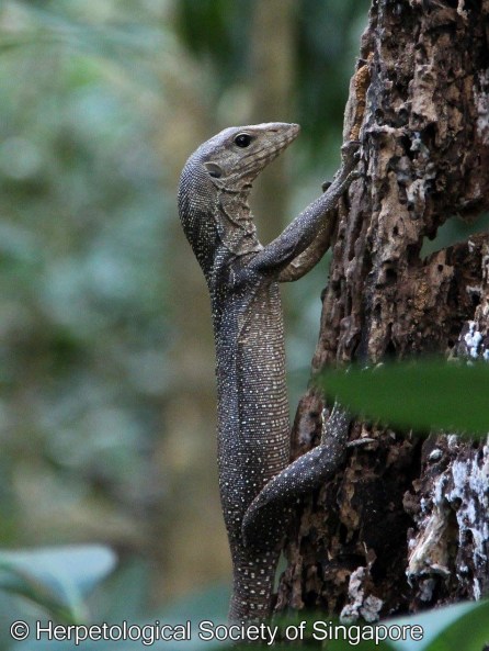 12698483_10153887437483119_6278572149949581164_o