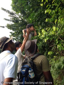 AqS0CELsKvzWiQu37n4dZykHG8a9lNjrgPVZAjJGN8XJ