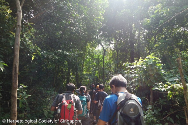 Ah0rV0uq-cFEWAP-dGby-UNpiWdmuKWNQbWBzCYD_RDs