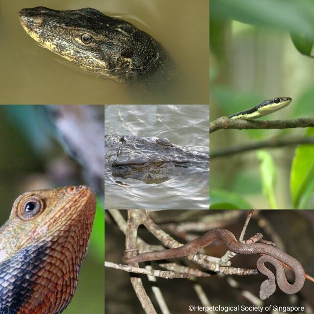 17439798_1288744614546931_399680714_n